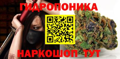 эйфоретик Аргун